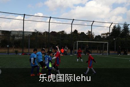 关于乐虎国际lehu